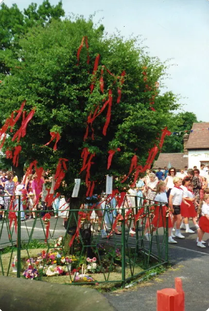 Costumed villagers gather beneath the hawthorn tree hung with red ribbons at Appleton Thorn during the Bawming the Thorn ceremony.
