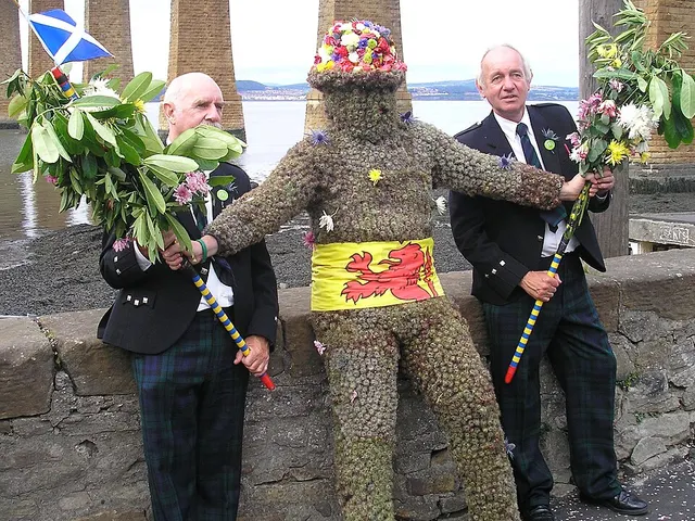The Burryman, covered head to ankle in burrs and topped with a flowered crown, rests against a wall with his two attendants and the Forth Bridge behind.