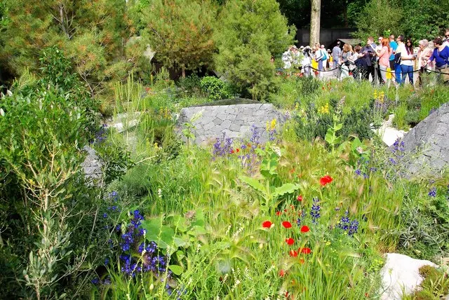 Visitors look over a wildflower-planted show garden with stone boulders at the Chelsea Flower Show.
