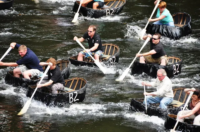Two coracle racers paddle hard through white water on the River Teifi at Cilgerran, race numbers marked on their boats.