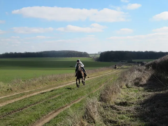 A jockey rides along the grass-and-farm-track course of the Kiplingcotes Derby near Market Weighton.