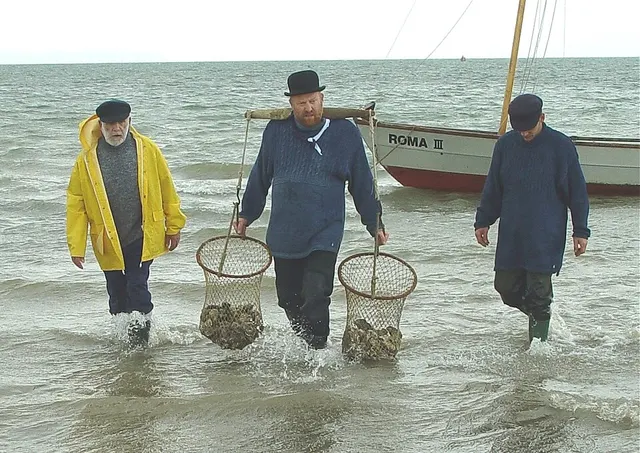 Fishermen wade ashore through the sea carrying baskets of oysters during the Landing of the Oysters ceremony at Whitstable.