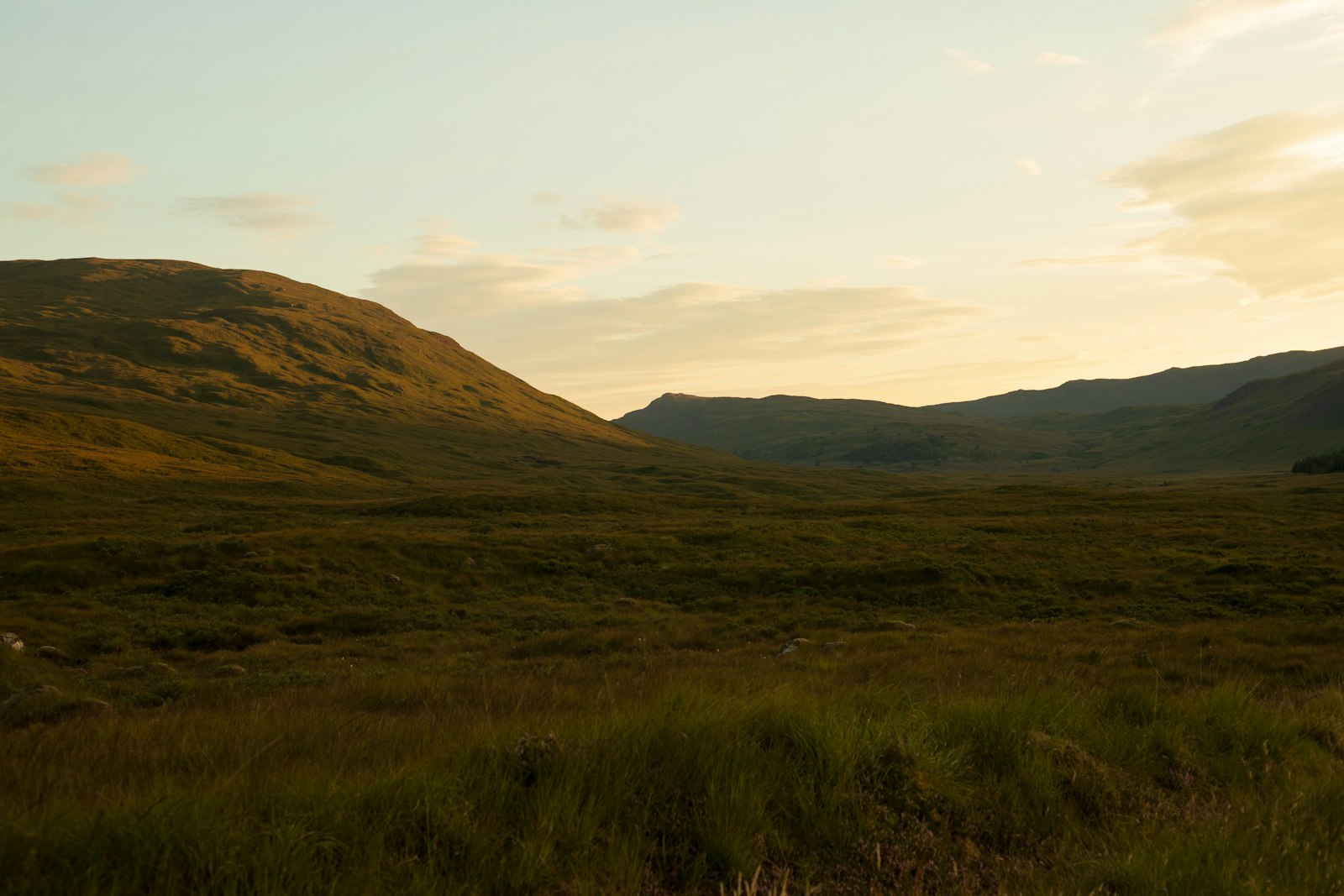 Photo of a grassy field with mountains in the background.