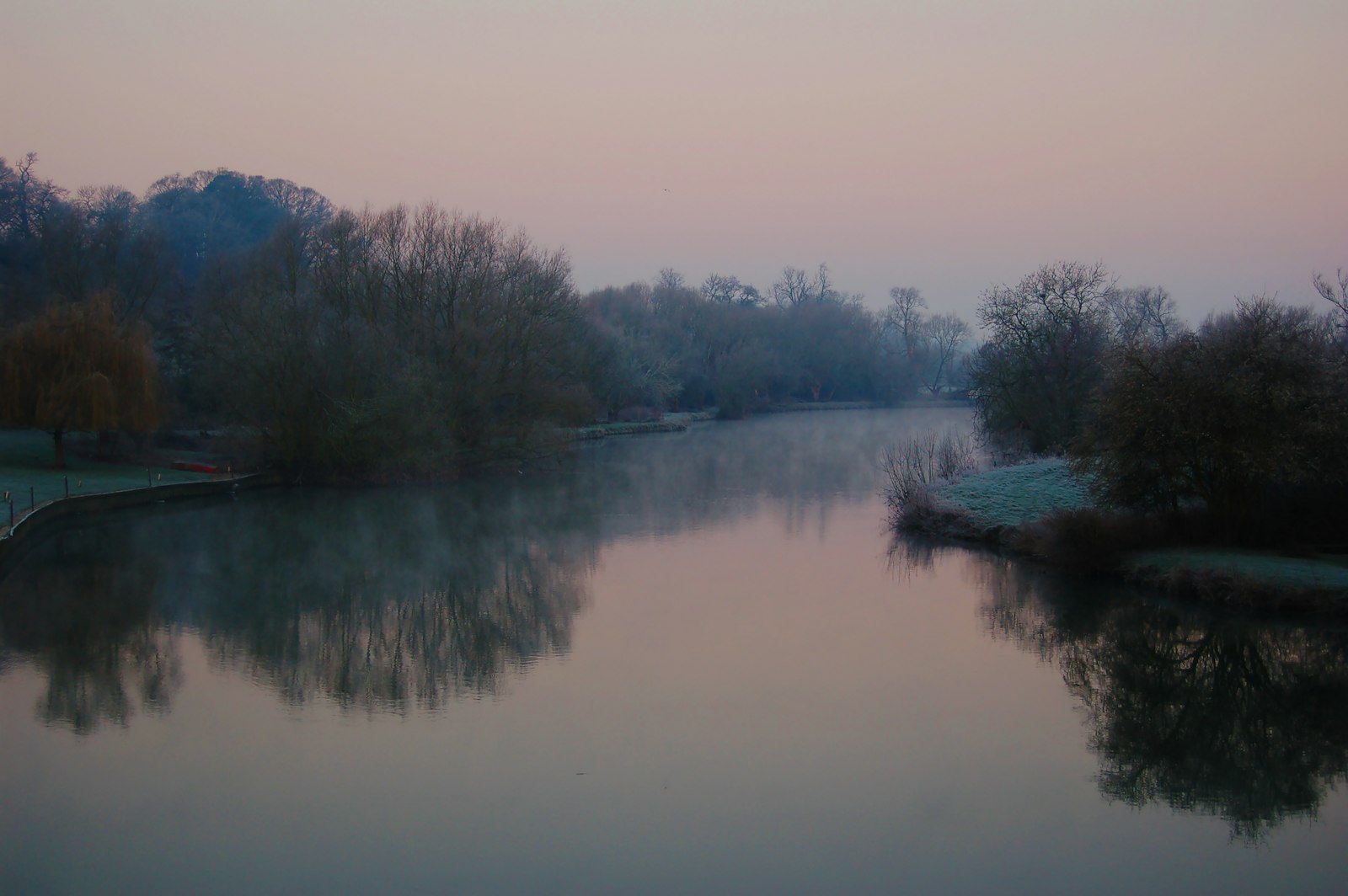 Photo of green trees beside river during daytime.