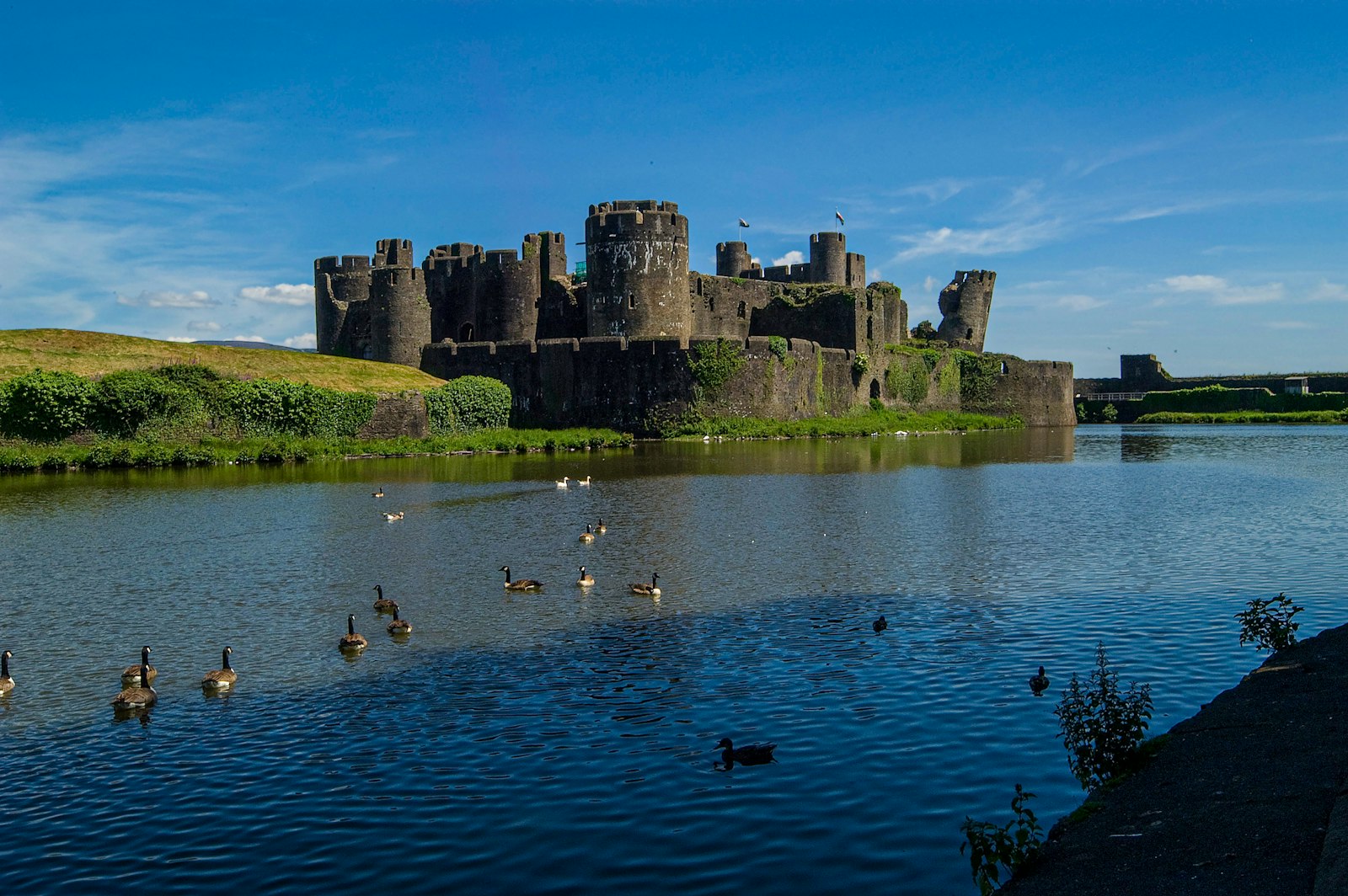 Photo of a group of ducks floating on top of a lake next to a castle.
