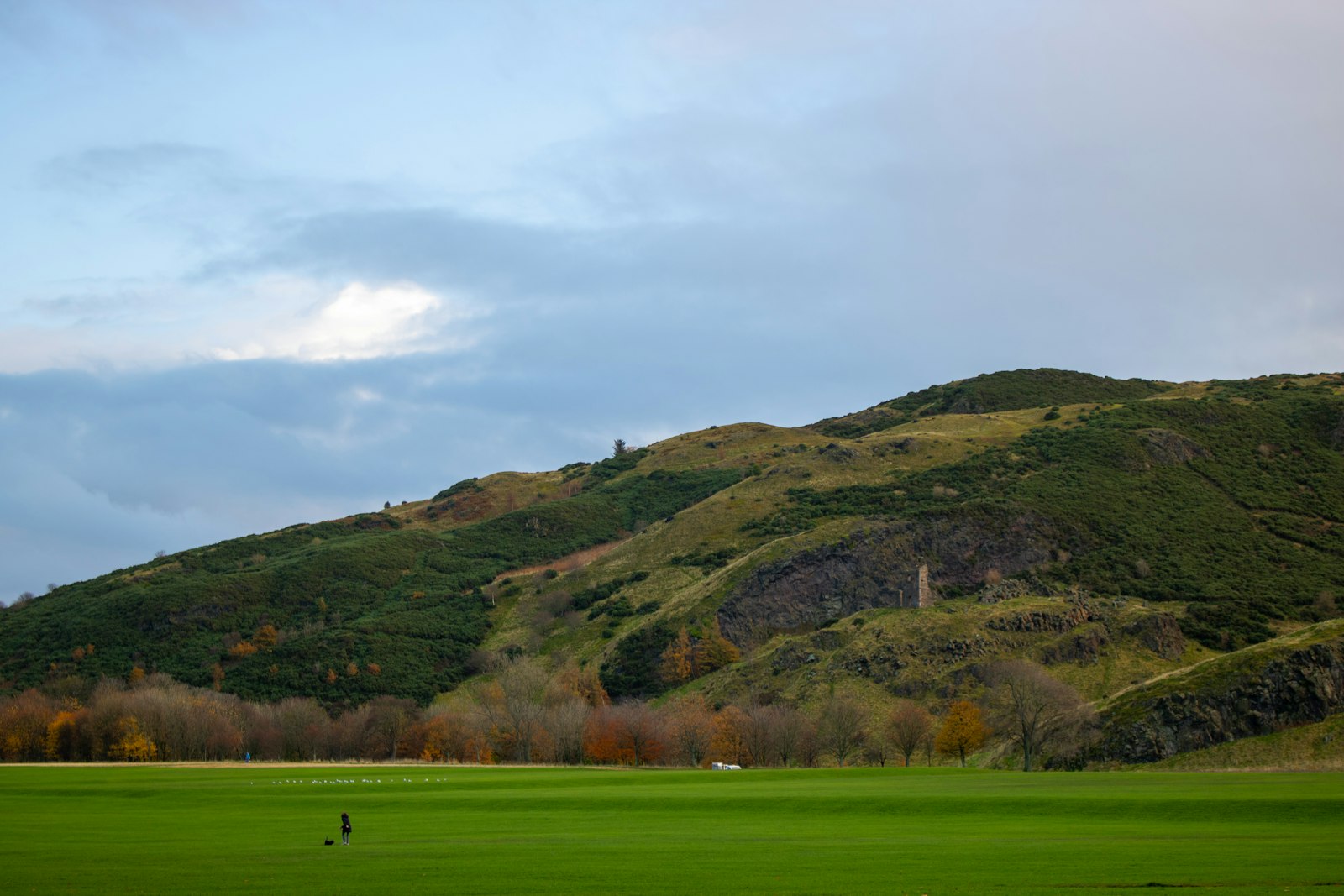 Photo of a person walking across a lush green field.