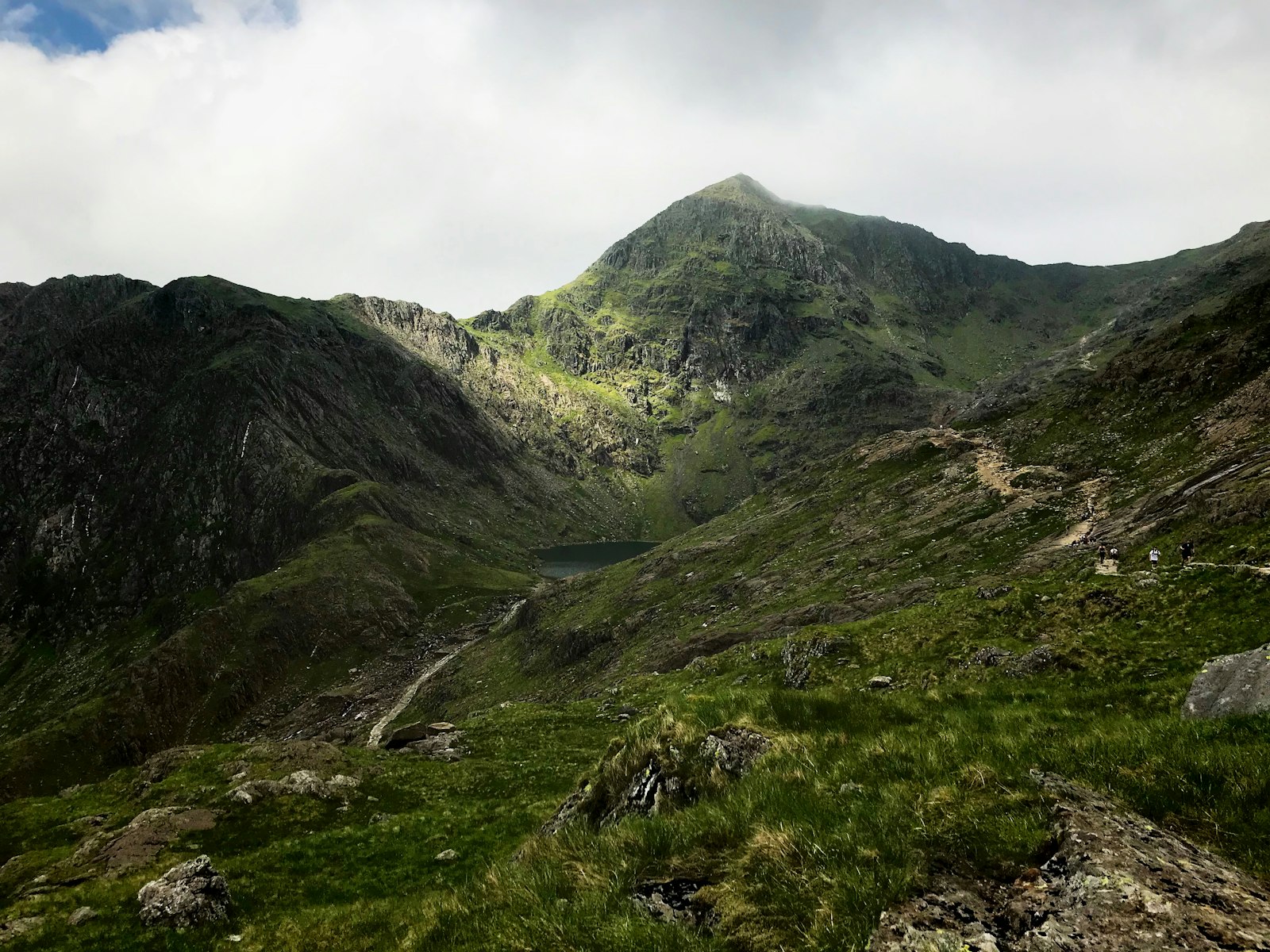 Photo of mountain covered in green leafed plant.