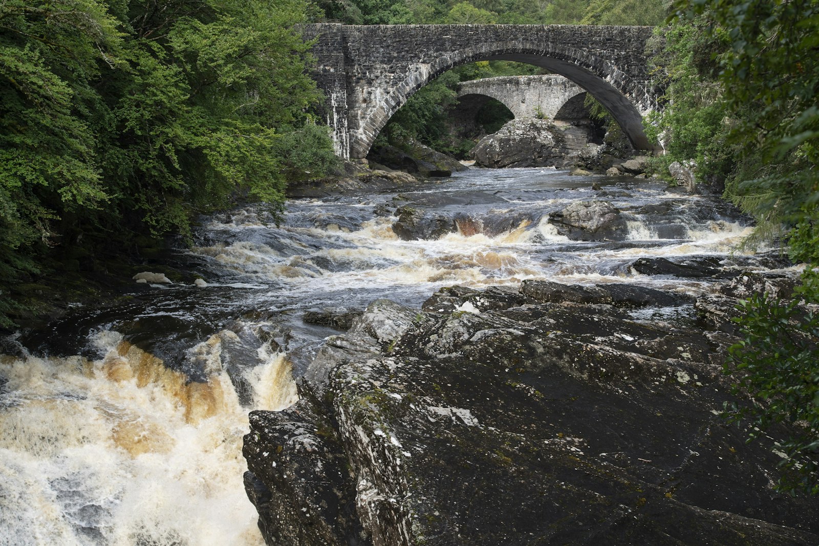 Photo of river viewing concrete bridge surrounded with tall and green trees during daytime.
