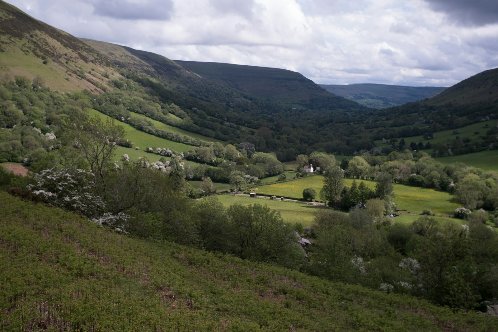Photo of a lush green hillside with a valley in the distance.