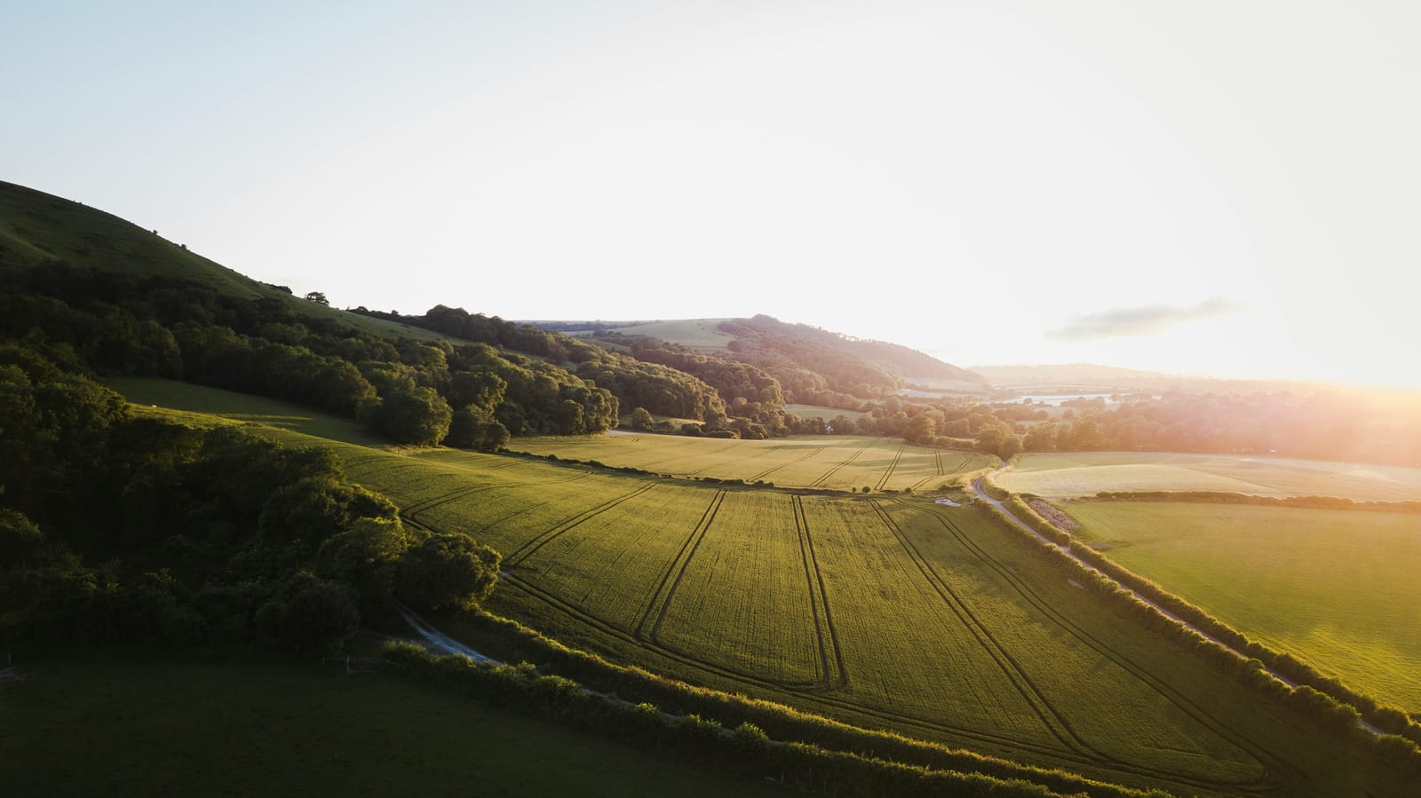 Photo of the South Downs at dusk near Didling and Midhurst, West Sussex.