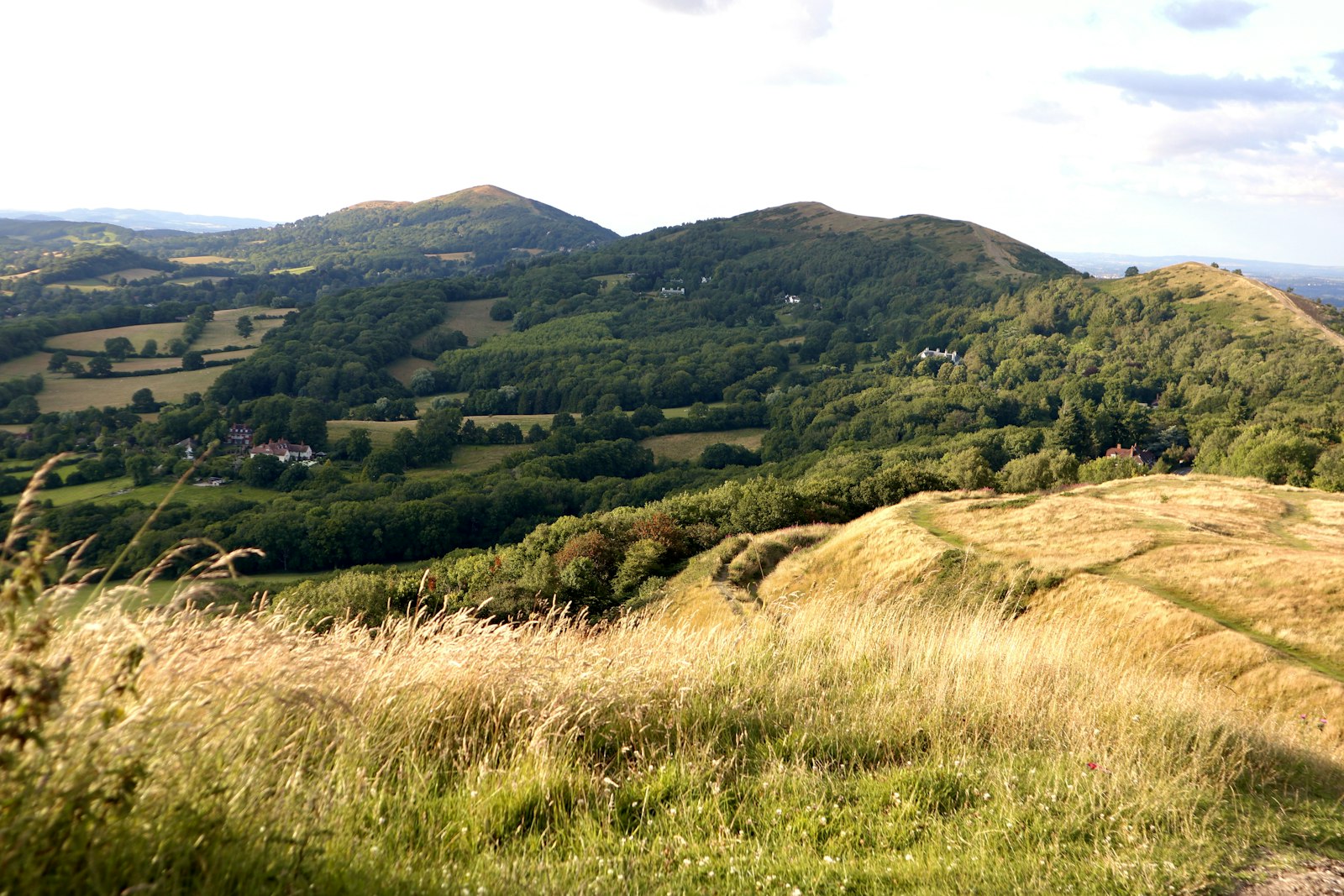 Photo of a man riding a bike on top of a lush green hillside.