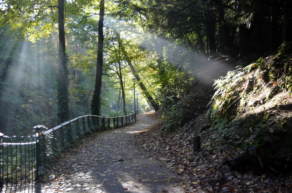 Photo of morning sunlight through the trees along the path down Alum Chine, Bournemouth