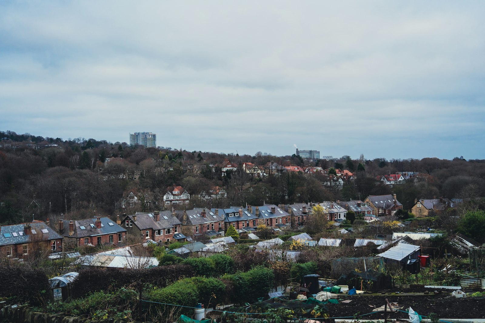 Photo of a view of a city with lots of houses.