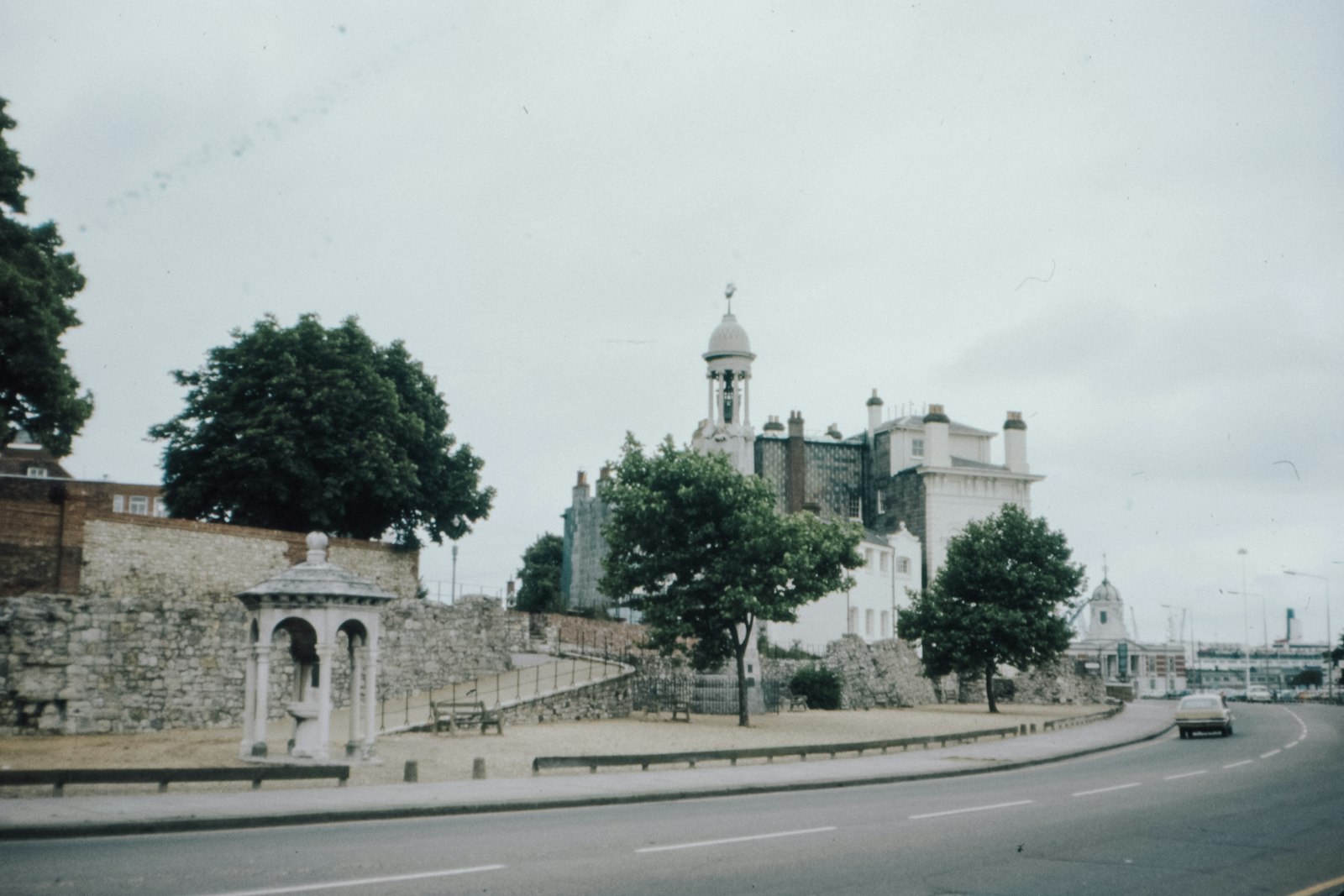 Photo of green trees beside gray concrete road.